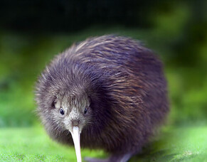 New Investment Boost News