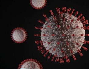 New financial support for businesses affected by Omicron