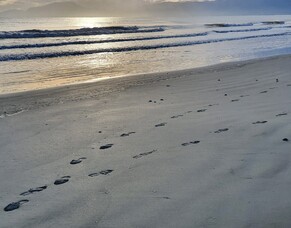 How teamwork helps you grow your business