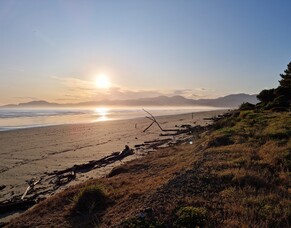 Virtual CFO Services