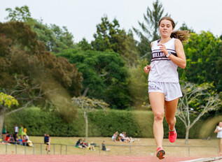 Sports - Haakinakina