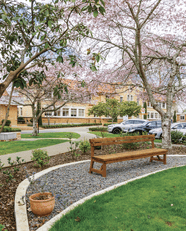 Governance - Mana Whakahaere