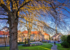 Absences - Tamootanga