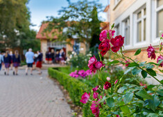 New Families - Ngaa Whaanau Hou