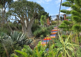 Whanganui Gardens | Smith House Whanganui