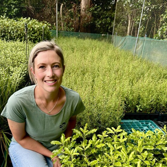 Order affordable, quality native plants by The Native Dairy Farmer for your restoration projects. Waikato, Waipa, King Country, New Zealand