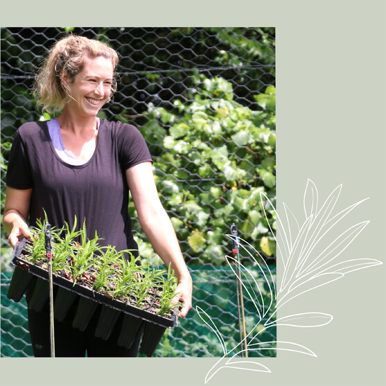 Order affordable, quality native plants by The Native Dairy Farmer for your restoration projects. Waikato, Waipa, King Country, New Zealand