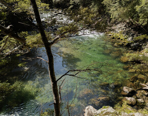 Stalking approach in New Zealand gin clear waters