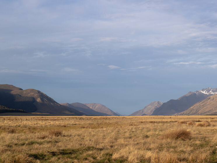 NZ tourism, adventure, Backcountry, explore, Todd Adolph, NZ, New Zealand, Brown Trout, flyfishing, otago, southland, south Island, Fishing Guide, fishing fluefiske, flugfiske