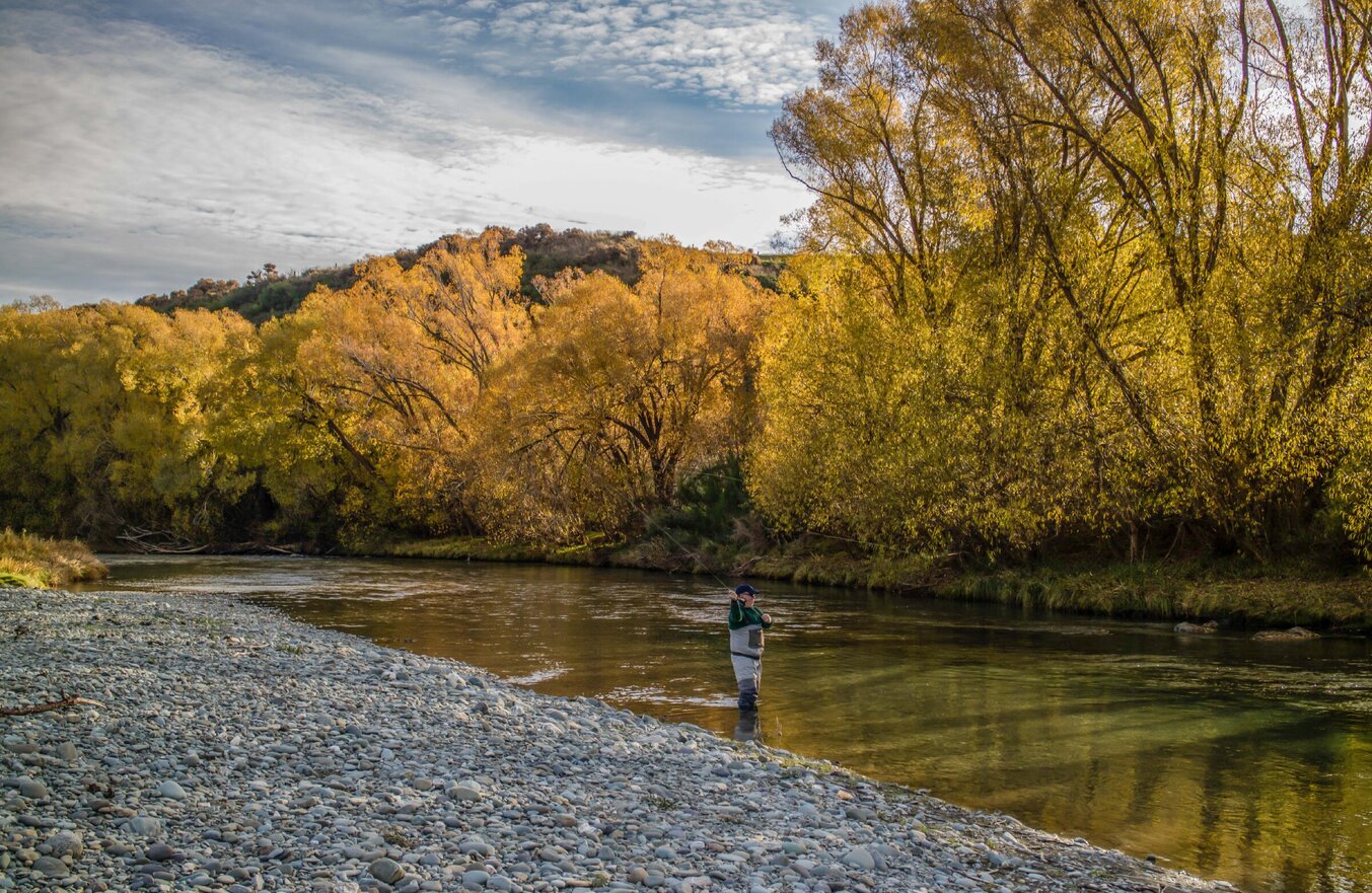 Autumn dry fly fishing for wild trout. Todd Adolph