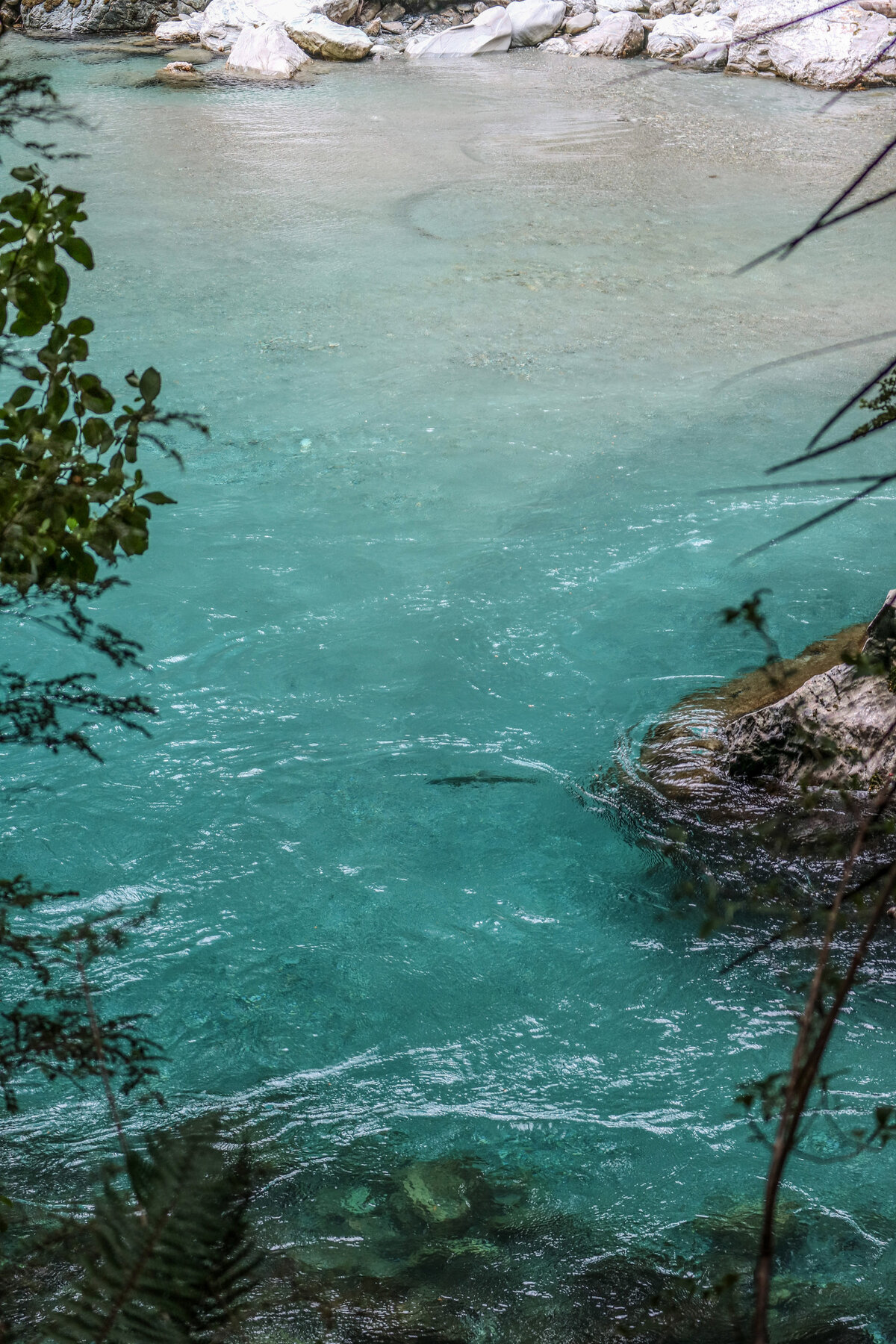 New Zealand Fly fishing guide Todd Adolph Guided Fly Fishing Queenstown New Zealand