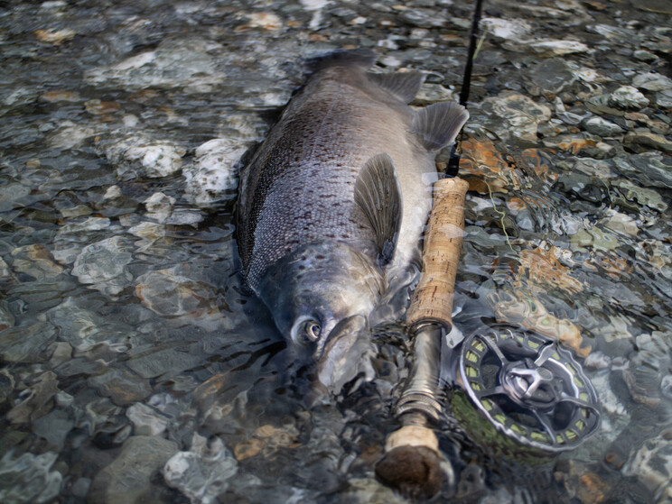 NZ tourism, adventure, Backcountry, explore, Todd Adolph, NZ, New Zealand, Brown Trout, flyfishing, otago, southland, south Island, Fishing Guide, fishing fluefiske, flugfiske