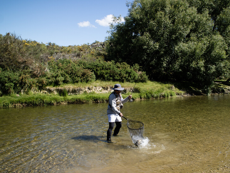 gin clear, fly fishing, NZ, New Zealand flyfishing, wild trout, brown trout, trophy trout. Todd Adolph NZ tourism, travel fluefiske flugfiske back country explore Queenstown, Otago, Southland Fiordland Wanaka