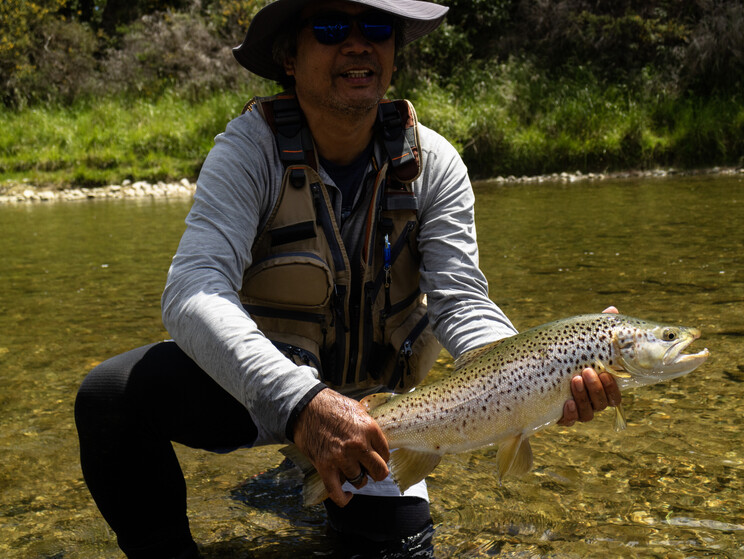 gin clear, fly fishing, NZ, New Zealand flyfishing, wild trout, brown trout, trophy trout. Todd Adolph NZ tourism, travel fluefiske flugfiske back country explore Queenstown, Otago, Southland Fiordland Wanaka