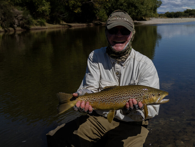 gin clear, fly fishing, NZ, New Zealand flyfishing, wild trout, brown trout, trophy trout. Todd Adolph NZ tourism, travel fluefiske flugfiske back country explore Queenstown, Otago, Southland Fiordland Wanaka