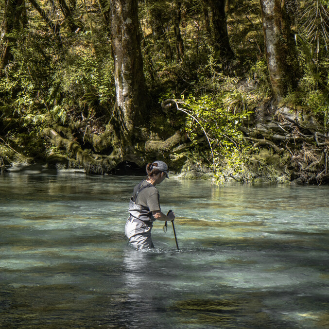 Wading in the gin-clear waters of New Zealand  Todd Adolph