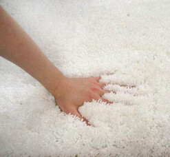 Lets here it for your carpet!