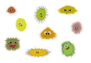 Healthy Carpet &amp; Upholstery - Healthy Family