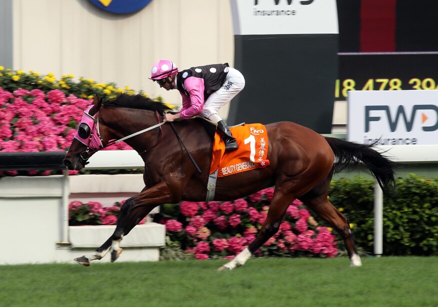 Beauty Generation (Rock to Rock x Stylish Bel)