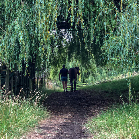 Highden Park | Small farm