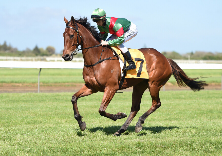 She's Poppy (Alamosa x Cassandra)