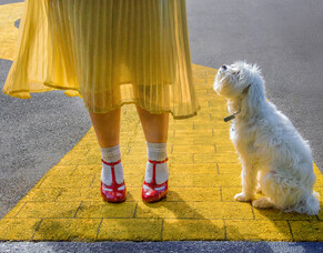 Follow the Yellow Brick Road
