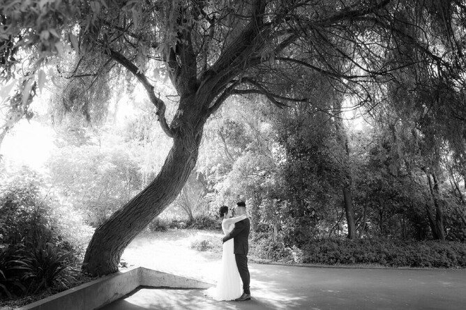 Black and white photograph or bride and groom under a big tree in their backyard on thier wedding day