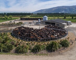 Duncan Wells, Huntly Road Dairies