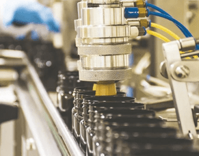 KiwiCorp Products Limited: Health Products Packed with Nutrition