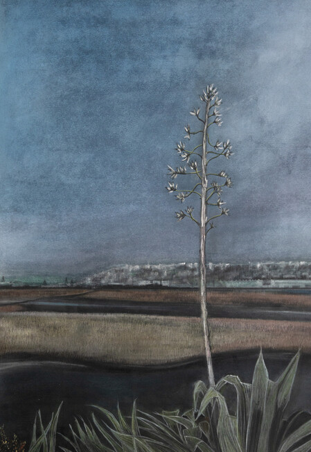 Pandoras Pond - Mark Haydock