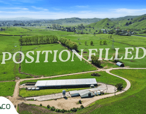 Farm Manager Role in Tauwhare