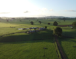 Best in Class - 250 Cow Contract Milking Role