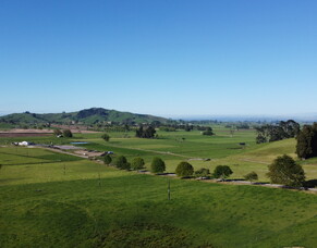 Tried and True in Te Awamutu - Contract Milking Role - 320 cows