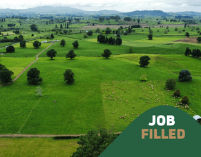 Job Listing: Winning at Wardville 50:50 Sharemilking