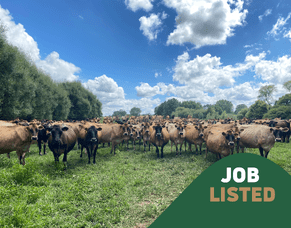 Job Listing: Exceptional Contract Milking Position - 385 cows *POSITION FILLED*