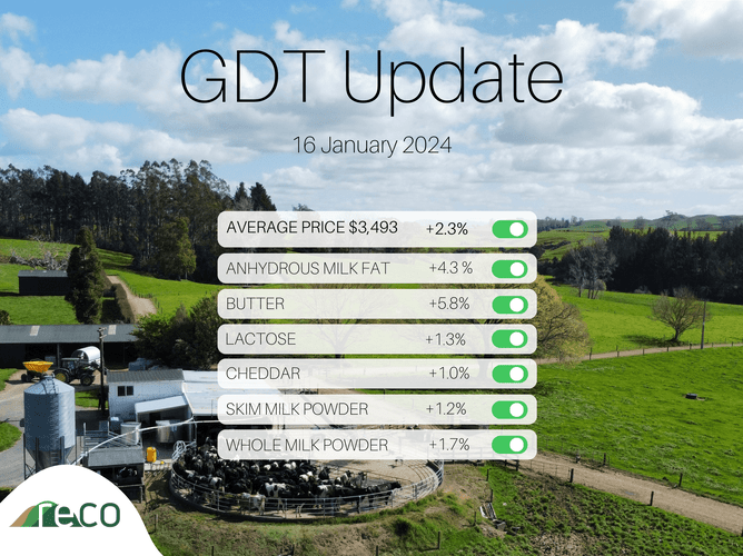 GDT Update 16th January 2024 RECO   Zoom668x500z100000cw668 