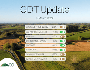 GDT Update - 5th March 2024