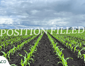 Tidy Contract Milker Role in Ohaupo