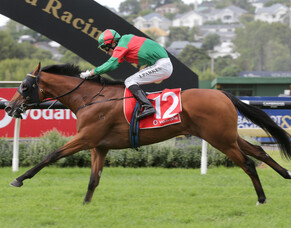 Melbourne Cup aspirations for Derby hero