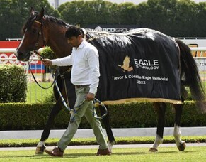 Impressive Waitak swoops on Eagle Memorial