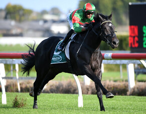 Change in tactics pays winning dividend for Uderzo