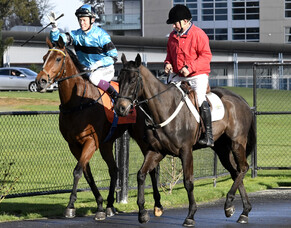 Matamata Cup Day Runners - 12/10