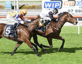 Lux Libertas Scores Hat Trick