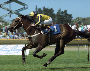 Unforgettable Cox Plates for O'Sullivan