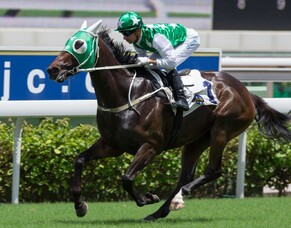 Pakistan Star joins Paul O&#039;Sullivan