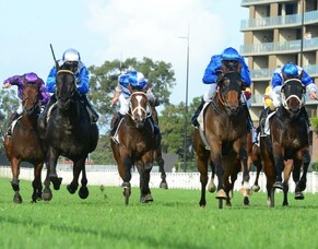 Dark Destroyer Shines in Queensland Guineas