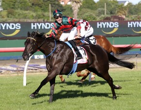 Spring Heat in Search of More Black Type