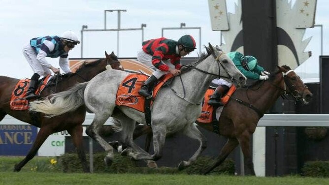 "William" winning the 2016 Group One Livamol Classic.