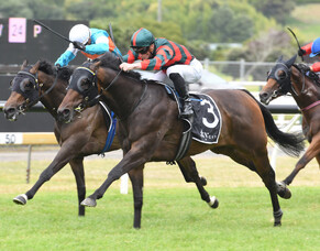 Dragon Leap side-lined