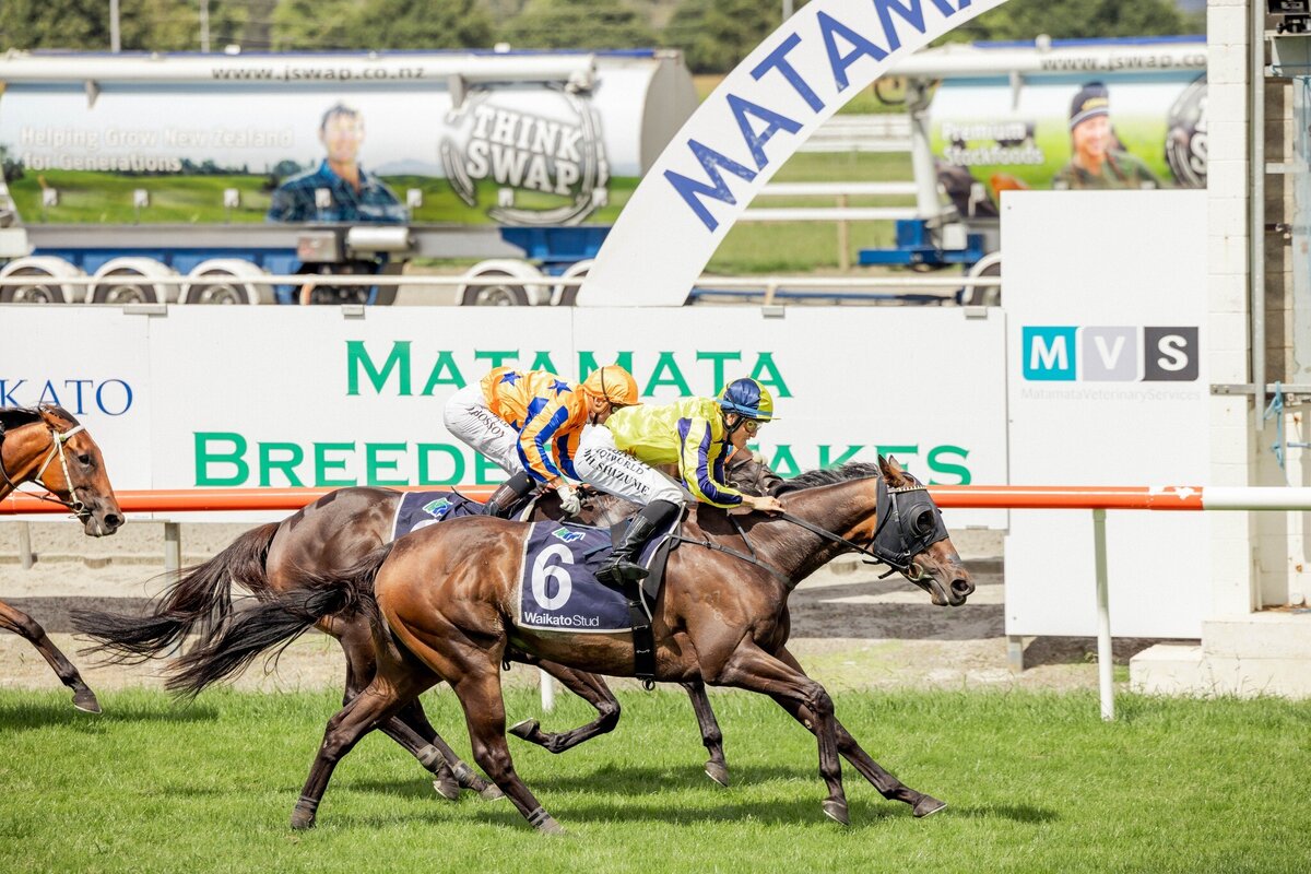 Wexford Stables | Sentimental victory for Karman Line in Lisa Chittick ...